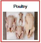 poultry recipes