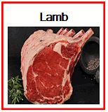 lamb recipes