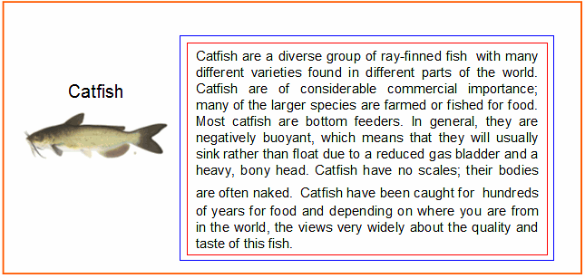 catfish info
