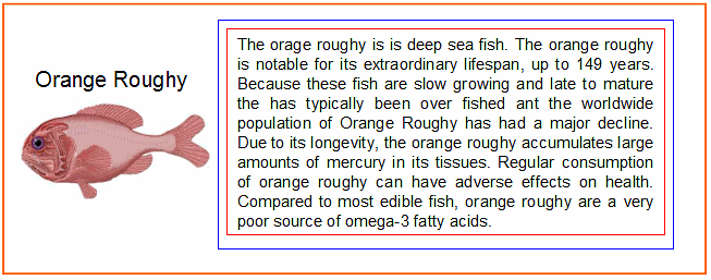 orange roughy info